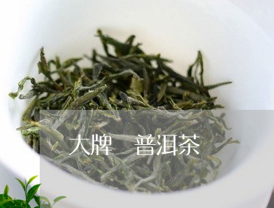 大牌 普洱茶/2023042804094